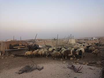 Le village bédouin de Um al-Kheir à nouveau menacé de démolition